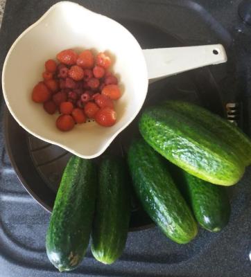 Bild "Willkommen:Garten.jpg"
